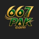 667PAK game