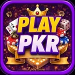 PlayPkr Game