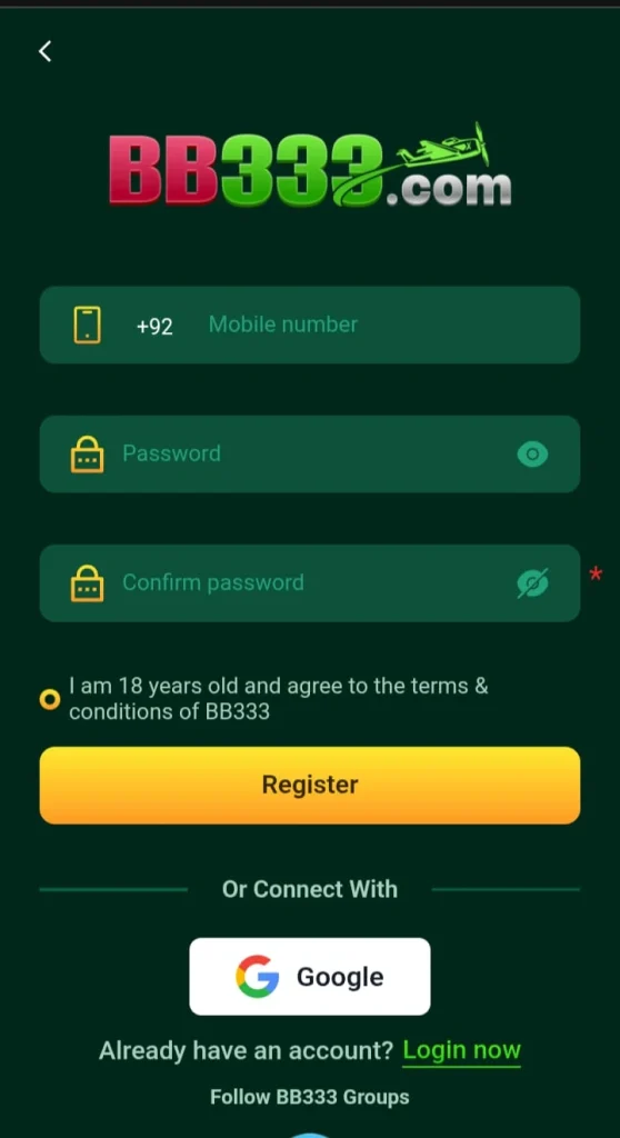BB333 Game