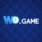 W9 Game apk